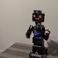 Bot with toy